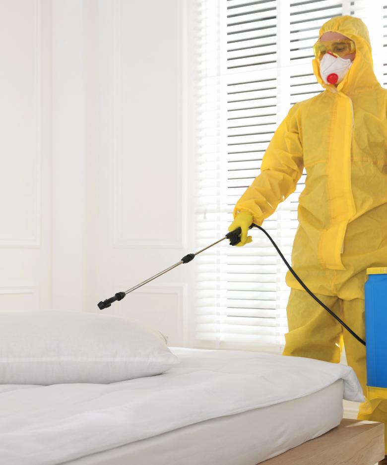 Professional Pest Control Team in Urrbrae